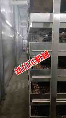 黑水牤养殖设备
