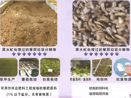 餐厨垃圾生态无害化处理系统