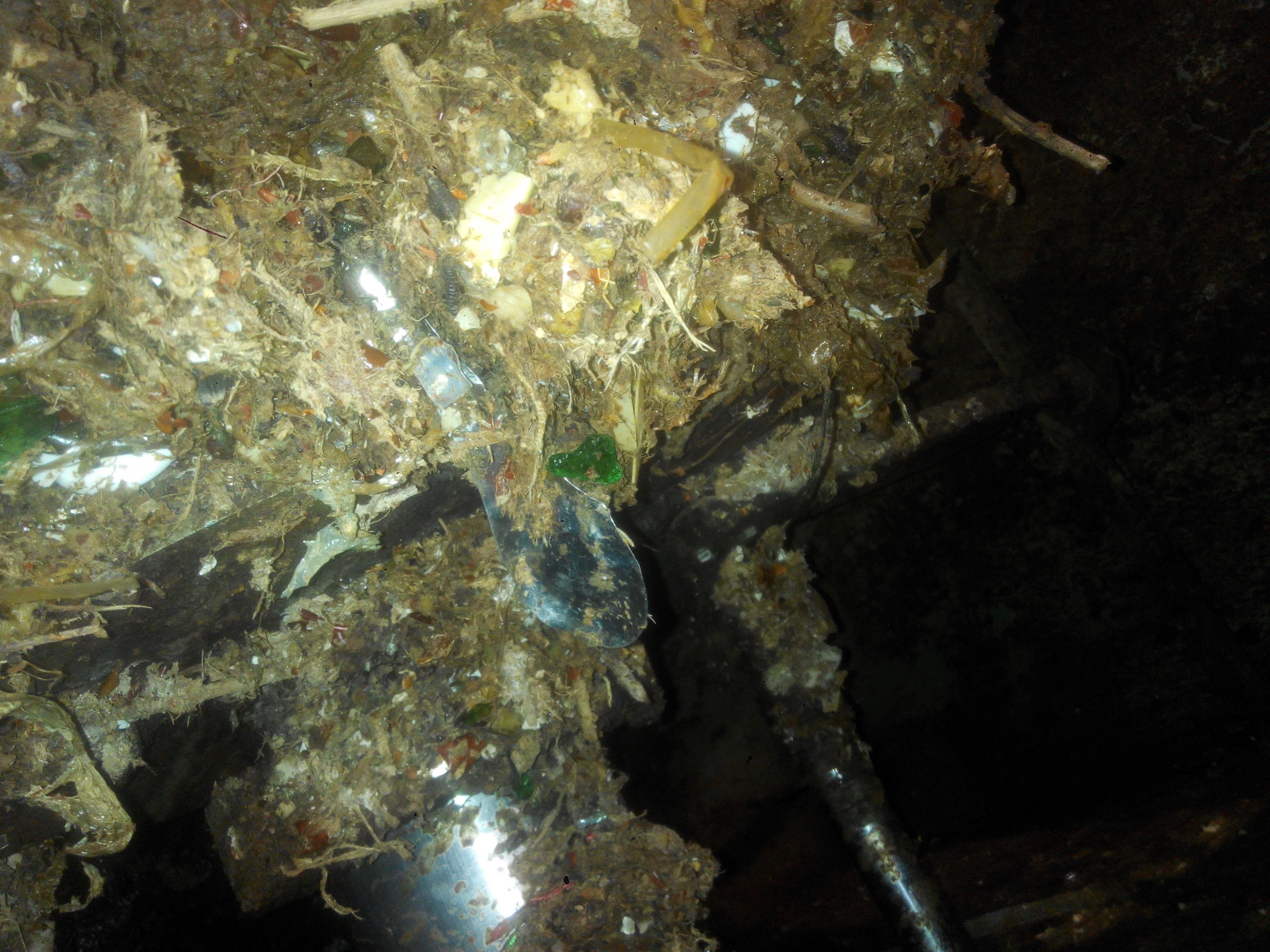 2025070920125131.jpg 粗压榨机效果.jpg